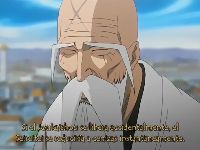 Bleach (Frozen-Layer Fansub, Xtasy no Fansub, Anifuture Fansub, Nine Tails Fansub, Seigi Tamashi, Backbeard)